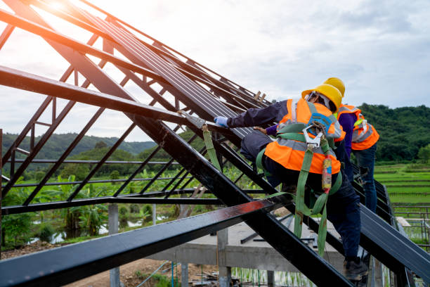 Best Metal Roofing Contractor  in Somerset, WI
